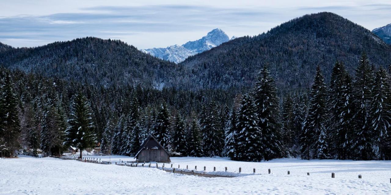 Chalet Rauna Villa Malborghetto Valbruna Eksteriør bilde